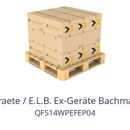   E.L.B. Fuellstandsgeraete / E.L.B. Ex-Geräte Bachmann GmbH & Co. KG. QFS14WPEFEP04