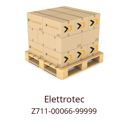   Elettrotec Z711-00066-99999