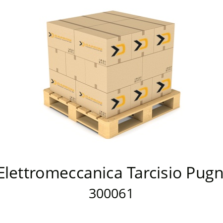   Elettromeccanica Tarcisio Pugni 300061