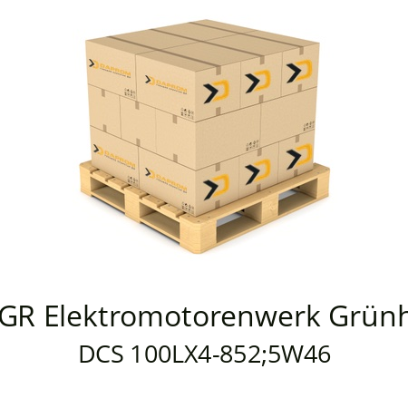   EMGR Elektromotorenwerk Grünhain DCS 100LX4-852;5W46