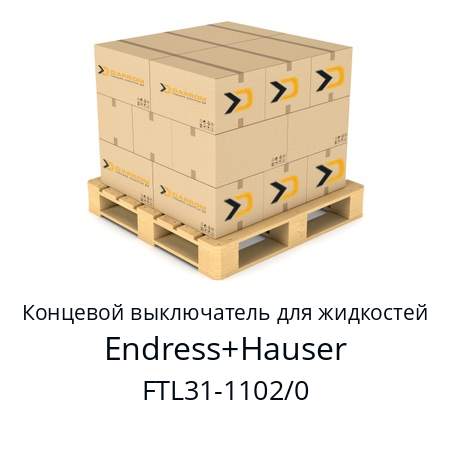 Концевой выключатель для жидкостей  FTL31-AA4M2AAWBJ  Endress+Hauser FTL31-1102/0