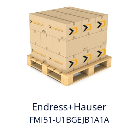   Endress+Hauser FMI51-U1BGEJB1A1A