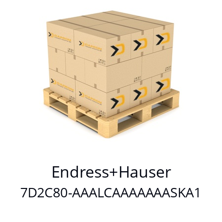   Endress+Hauser 7D2C80-AAALCAAAAAAASKA1