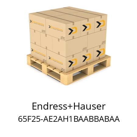   Endress+Hauser 65F25-AE2AH1BAABBABAA