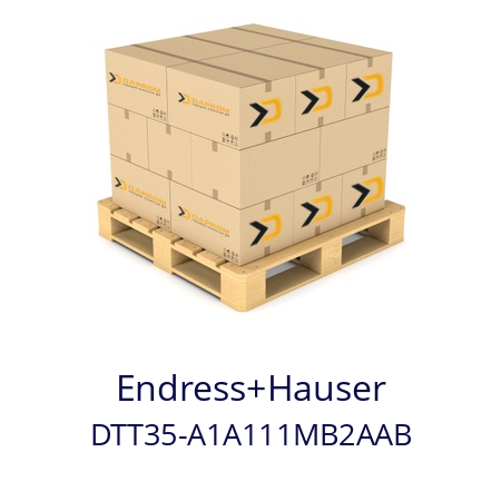   Endress+Hauser DTT35-A1A111MB2AAB