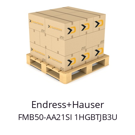   Endress+Hauser FMB50-AA21SI 1HGBTJB3U