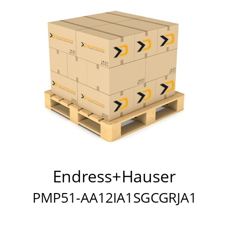   Endress+Hauser PMP51-AA12IA1SGCGRJA1