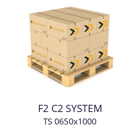   F2 C2 SYSTEM TS 0650x1000