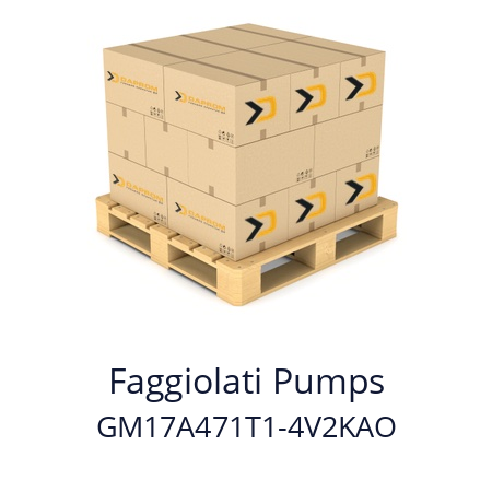   Faggiolati Pumps GM17A471T1-4V2KAO