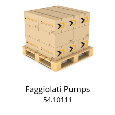   Faggiolati Pumps 54.10111