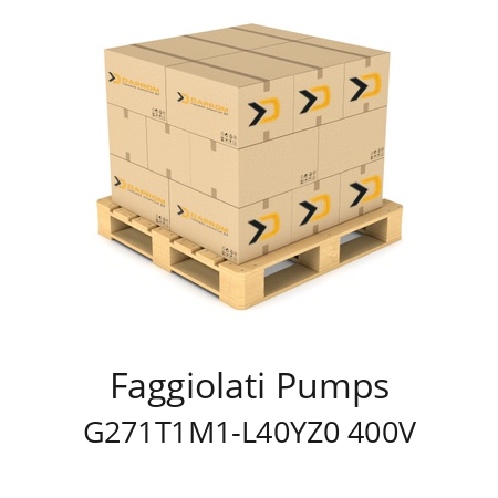   Faggiolati Pumps G271T1M1-L40YZ0 400V