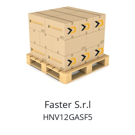   Faster S.r.l HNV12GASF5