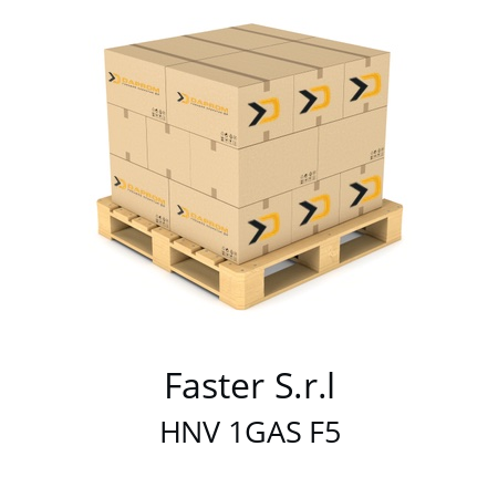   Faster S.r.l HNV 1GAS F5