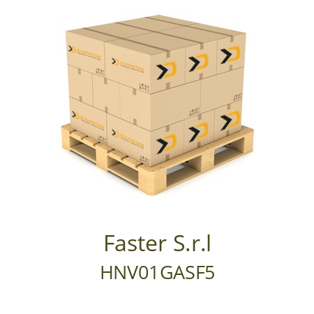   Faster S.r.l HNV01GASF5