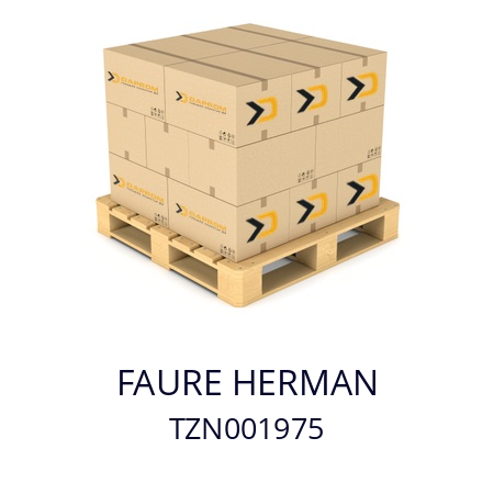   FAURE HERMAN TZN001975