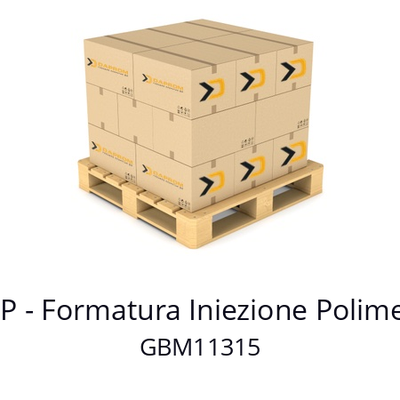   FIP - Formatura Iniezione Polimeri GBM11315