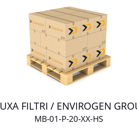   FLUXA FILTRI / ENVIROGEN GROUP MB-01-P-20-XX-HS