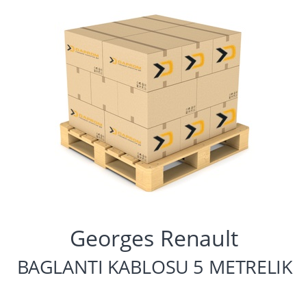   Georges Renault BAGLANTI KABLOSU 5 METRELIK