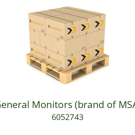   General Monitors (brand of MSA) 6052743