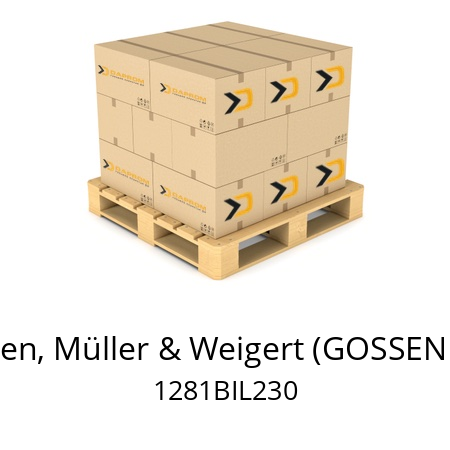   GMW / Gilgen, Müller & Weigert (GOSSEN Metrawatt) 1281BIL230