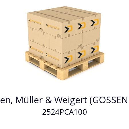   GMW / Gilgen, Müller & Weigert (GOSSEN Metrawatt) 2524PCA100