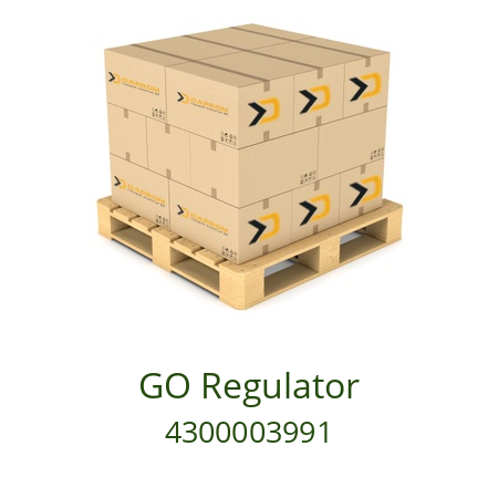   GO Regulator 4300003991