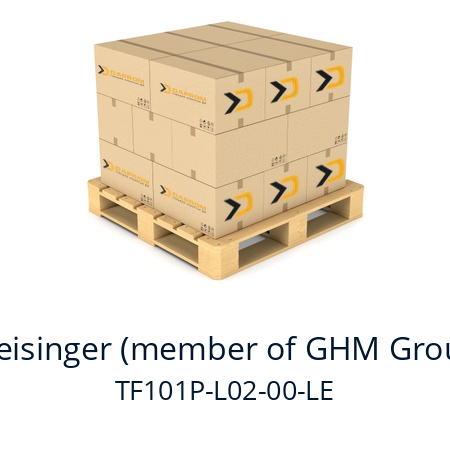   Greisinger (member of GHM Group) TF101P-L02-00-LE