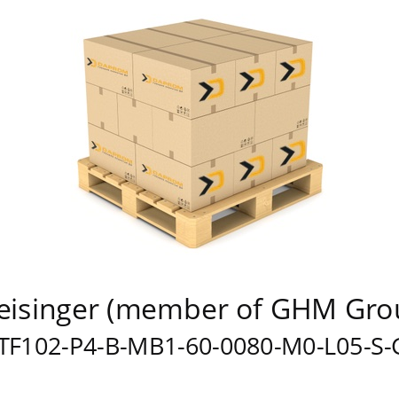   Greisinger (member of GHM Group) GTF102-P4-B-MB1-60-0080-M0-L05-S-GE