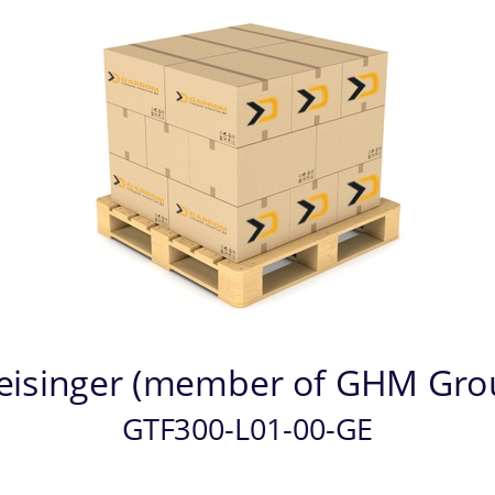   Greisinger (member of GHM Group) GTF300-L01-00-GE