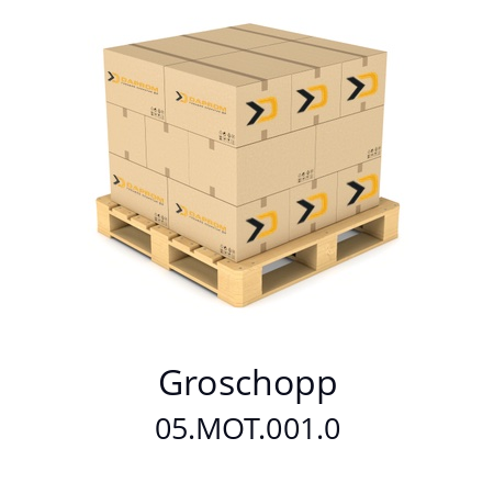   Groschopp 05.MOT.001.0