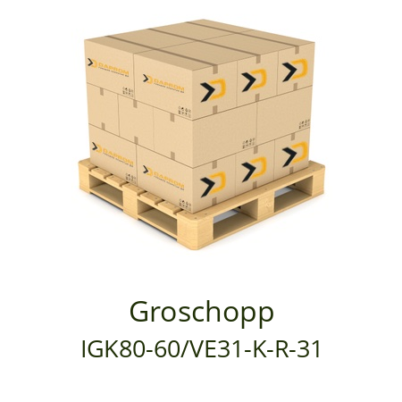   Groschopp IGK80-60/VE31-K-R-31