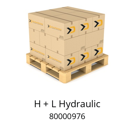   H + L Hydraulic 80000976