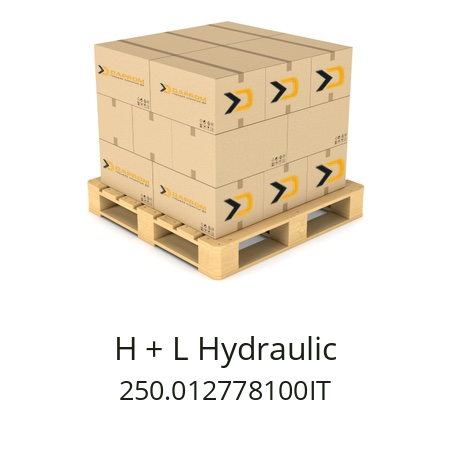   H + L Hydraulic 250.012778100IT