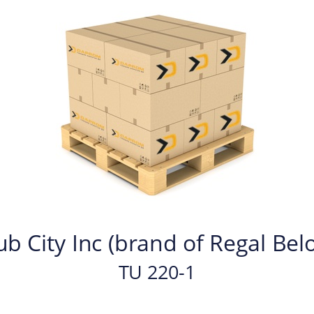   Hub City Inc (brand of Regal Beloit) TU 220-1