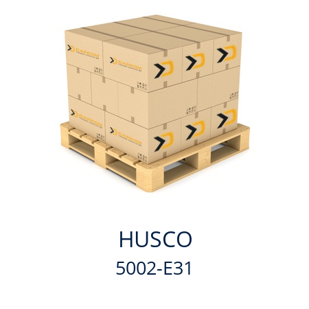   HUSCO 5002-E31