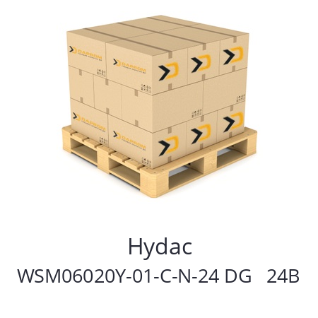   Hydac WSM06020Y-01-C-N-24 DG   24В