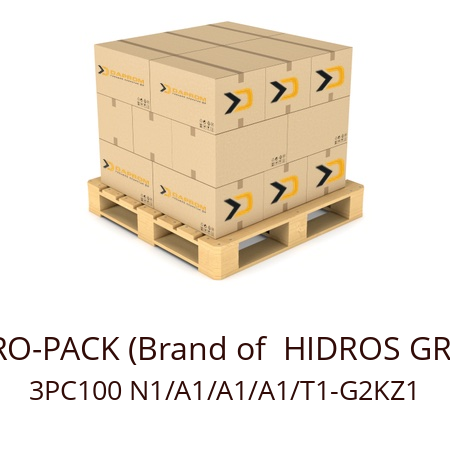   HYDRO-PACK (Brand of  HIDROS GROUP) 3PC100 N1/A1/A1/A1/T1-G2KZ1