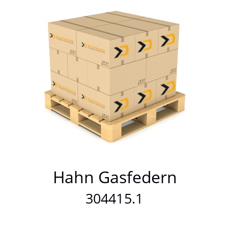   Hahn Gasfedern 304415.1