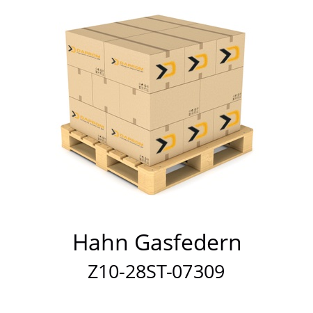   Hahn Gasfedern Z10-28ST-07309