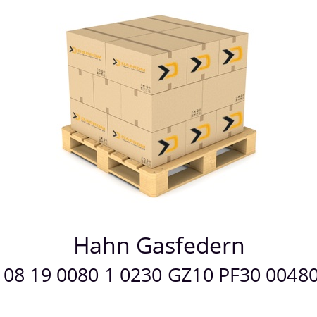   Hahn Gasfedern G 08 19 0080 1 0230 GZ10 PF30 00480N