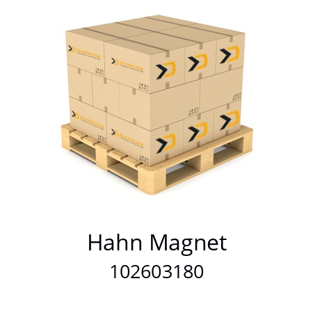   Hahn Magnet 102603180