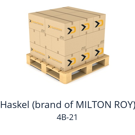   Haskel (brand of MILTON ROY) 4B-21