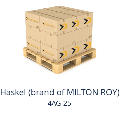   Haskel (brand of MILTON ROY) 4AG-25