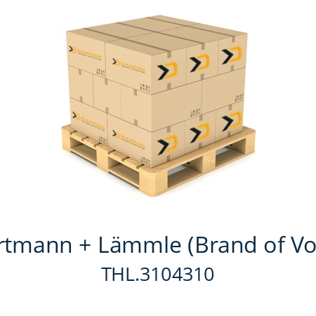  DK55.1-6-45P-391K Hartmann + Lämmle (Brand of Voith) THL.3104310