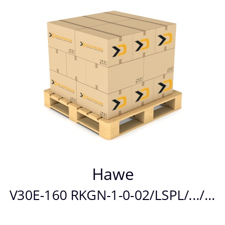   Hawe V30E-160 RKGN-1-0-02/LSPL/.../...