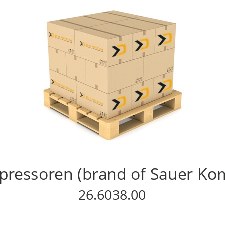   HAUG Kompressoren (brand of Sauer Kompressoren) 26.6038.00