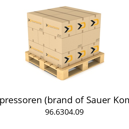   HAUG Kompressoren (brand of Sauer Kompressoren) 96.6304.09