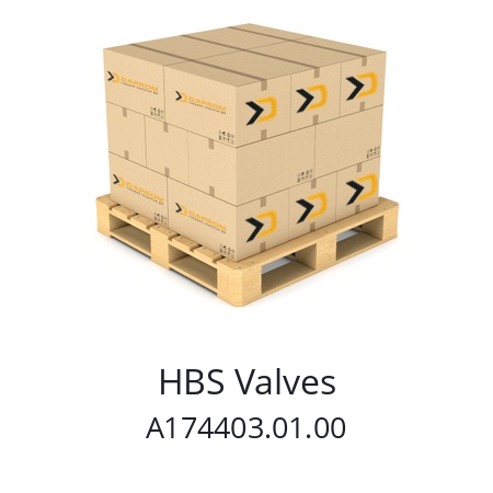   HBS Valves A174403.01.00