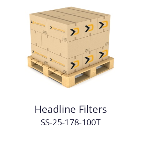   Headline Filters SS-25-178-100T