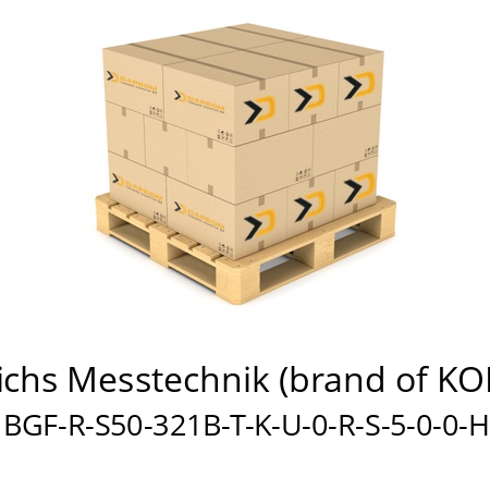   Heinrichs Messtechnik (brand of KOBOLD) BGF-R-S50-321B-T-K-U-0-R-S-5-0-0-H
